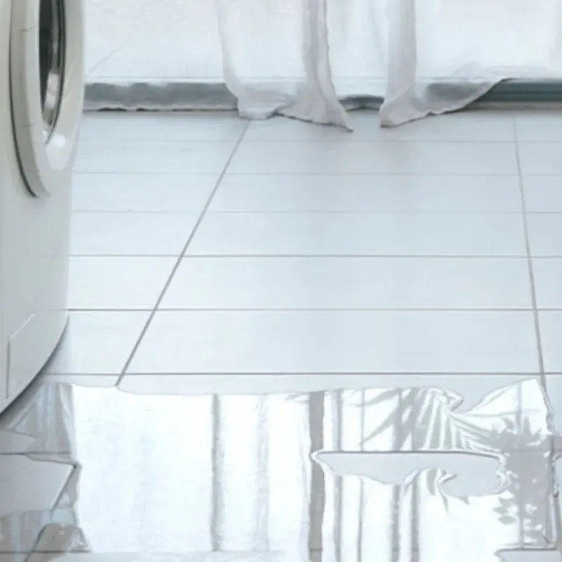 Appliance Leak Cleanup in Belfast, ME