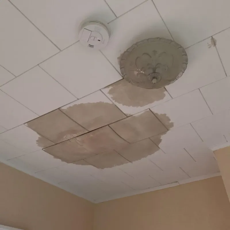 Ceiling Water Damage Repair in Belfast, ME