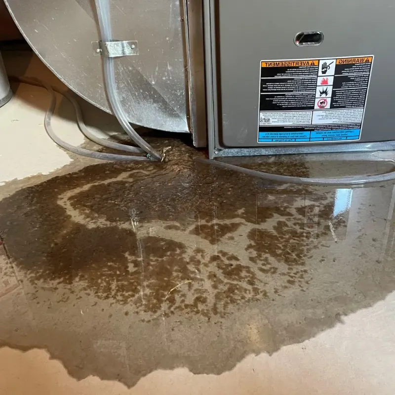 Pipe Burst and Leak Restoration in Belfast, ME